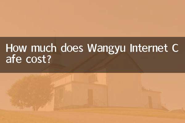 ¿Cuánto cuesta el cibercafé Wangyu?