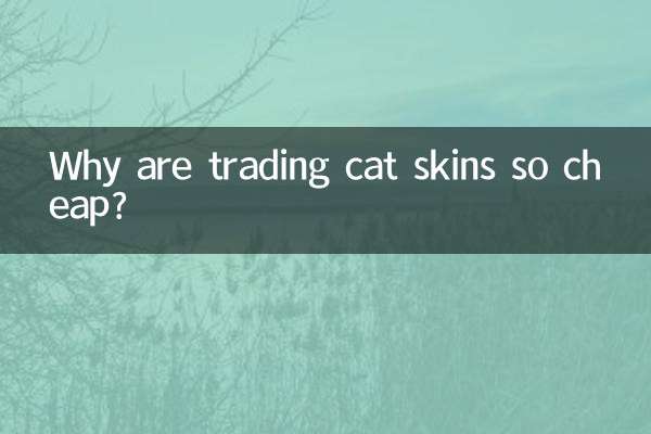 Perché il commercio di pelli di gatto è così economico?