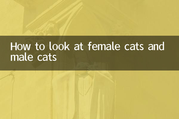 Cómo mirar a las gatas y a los gatos machos.