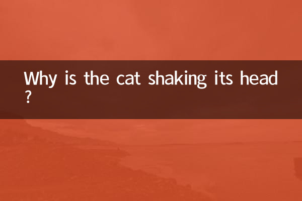 ¿Por qué el gato mueve la cabeza?