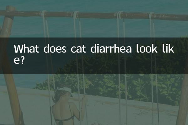 Che aspetto ha la diarrea del gatto?