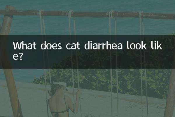 Che aspetto ha la diarrea del gatto?
