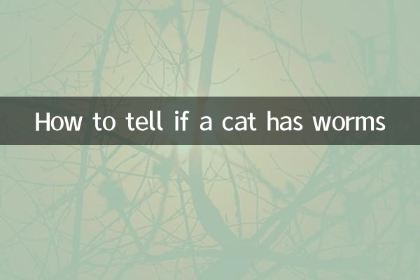 Cómo saber si un gato tiene lombrices