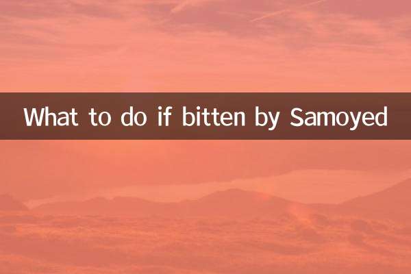 Was tun, wenn ein Samojede gebissen wird?