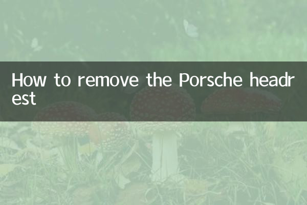 포르쉐 헤드레스트 제거 방법