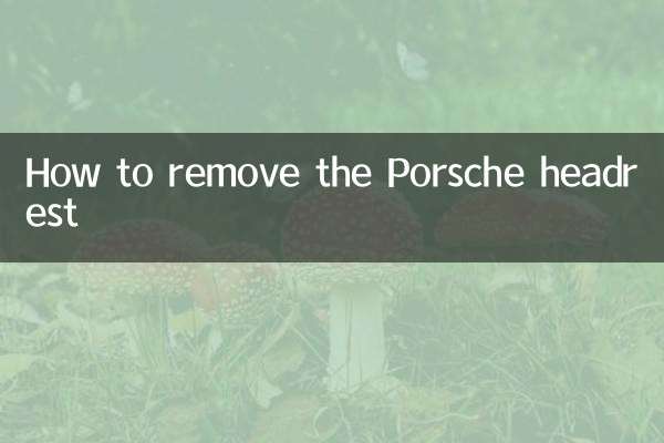 포르쉐 헤드레스트 제거 방법