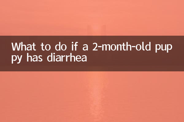 کیا کریں اگر 2 ماہ کے کتے کو اسہال ہو