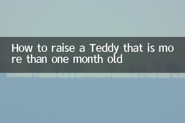 Wie man einen Teddy großzieht, der älter als einen Monat ist