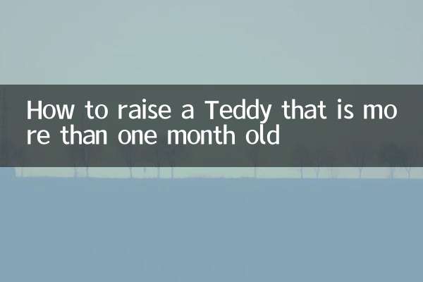 Wie man einen Teddy großzieht, der älter als einen Monat ist