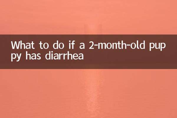 O que fazer se um cachorrinho de 2 meses estiver com diarreia