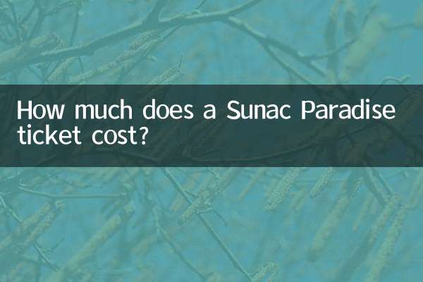Wie viel kostet ein Sunac Paradise-Ticket?