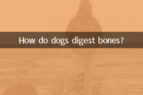 How do dogs digest bones?