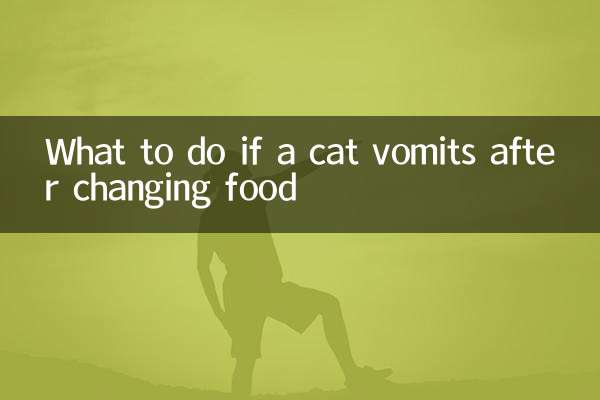 ماذا تفعل إذا تقيأت القطة بعد تغيير الطعام؟