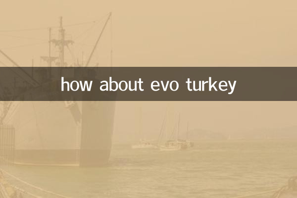 에보 터키는 어때요?