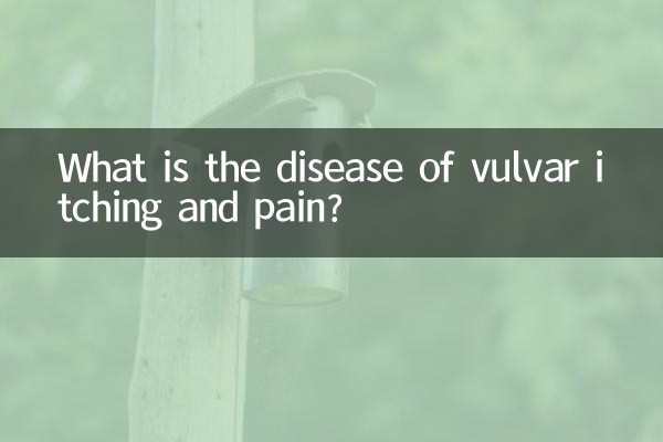 What is the disease of vulvar itching and pain?