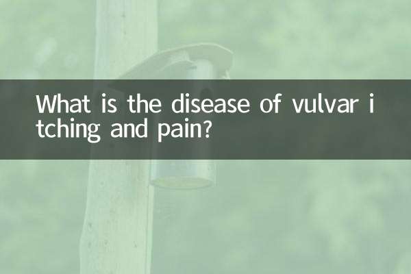 What is the disease of vulvar itching and pain?