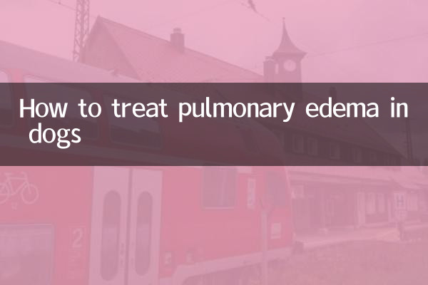 How to treat pulmonary edema in dogs