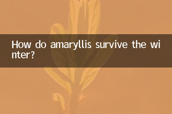 Come sopravvivono gli amarilli all'inverno?