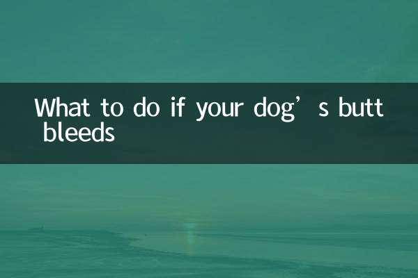Que faire si les fesses de votre chien saignent