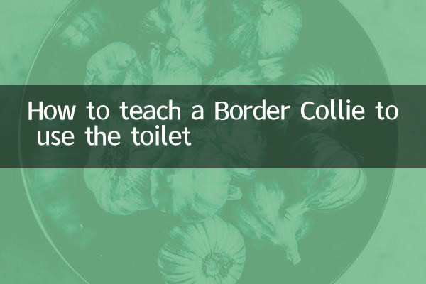 Wie man einem Border Collie beibringt, die Toilette zu benutzen