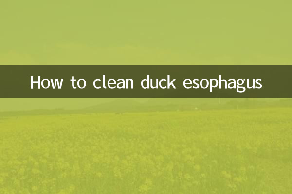 হাঁসের খাদ্যনালী কীভাবে পরিষ্কার করবেন
