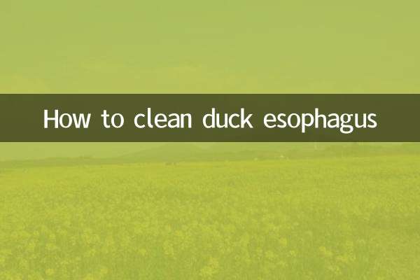 হাঁসের খাদ্যনালী কীভাবে পরিষ্কার করবেন