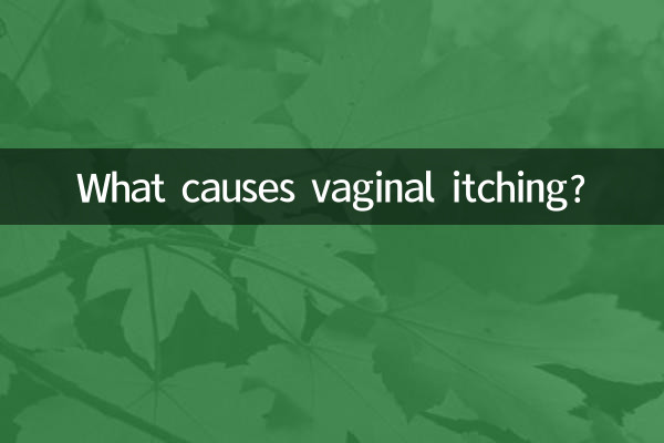 阴道口痒是怎么了