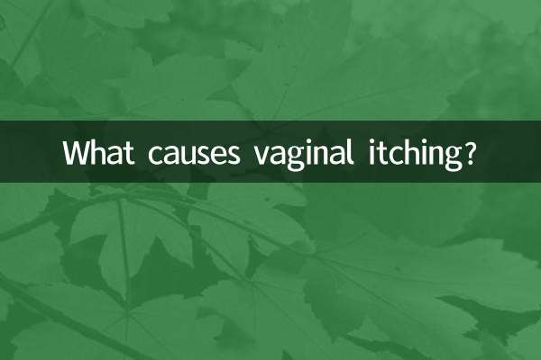 膣のかゆみの原因は何ですか?