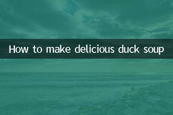 煮鸭子汤怎么煮好吃