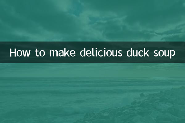 煮鸭子汤怎么煮好吃
