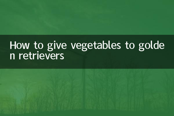 怎么把蔬菜给金毛吃