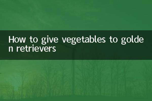 怎么把蔬菜给金毛吃