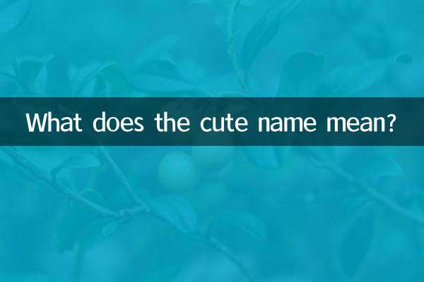 Cosa significa il nome carino?