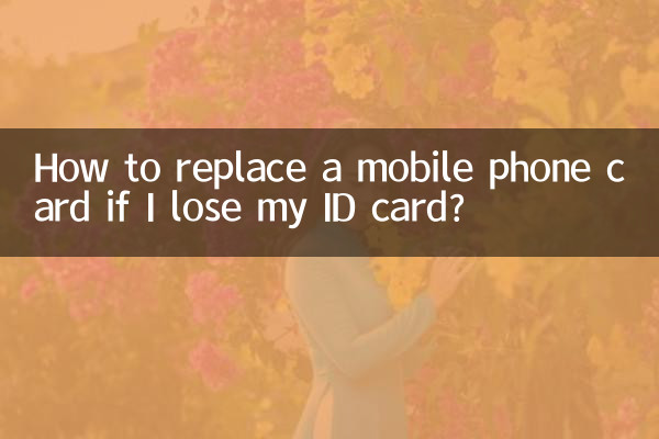 신분증을 분실한 경우 휴대폰 카드를 교체하는 방법은 무엇입니까?
