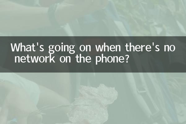 Was passiert, wenn das Telefon kein Netzwerk hat?