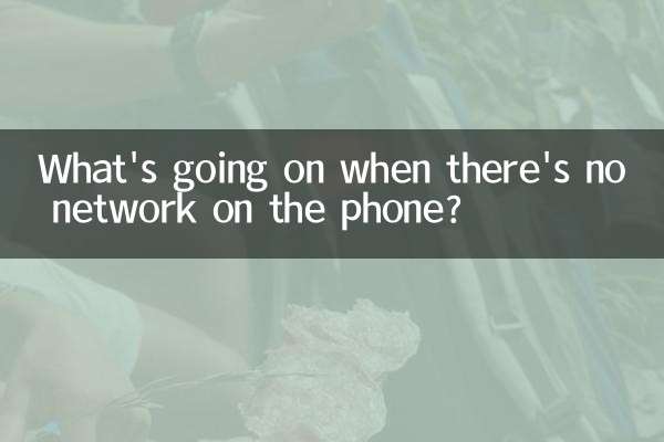 Was passiert, wenn das Telefon kein Netzwerk hat?