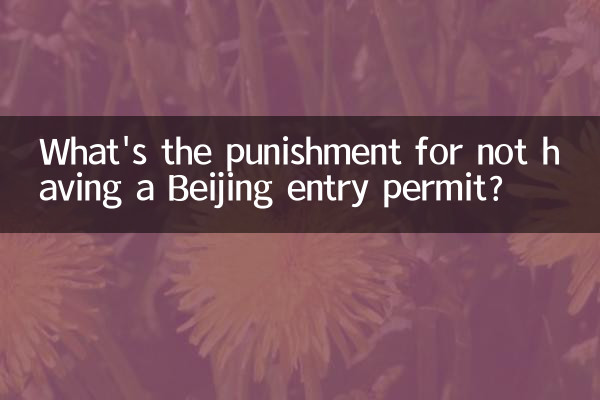 বেইজিং এন্ট্রি পারমিট না থাকার শাস্তি কি?