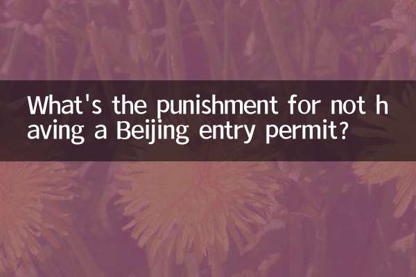 বেইজিং এন্ট্রি পারমিট না থাকার শাস্তি কি?