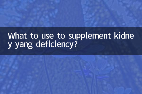 신장양허(腎陽虛)를 보충하려면 무엇을 써야 하나?