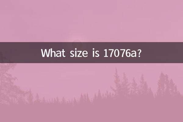 17076a是什么尺码
