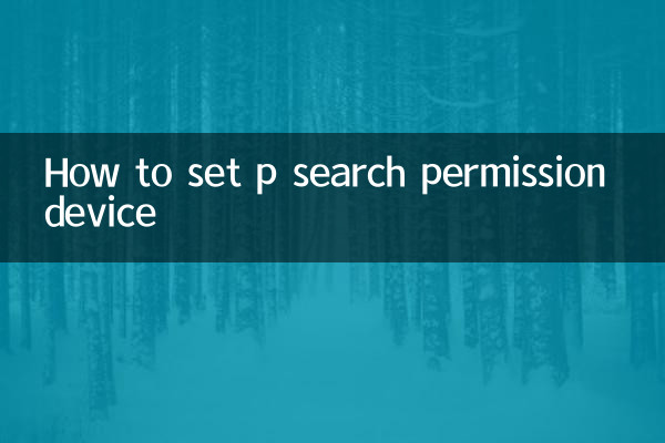 p 검색 권한 장치 설정 방법