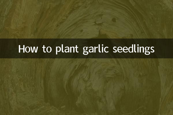 Как посадить рассаду чеснока