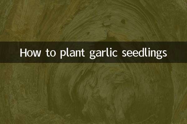 So pflanzen Sie Knoblauchsämlinge