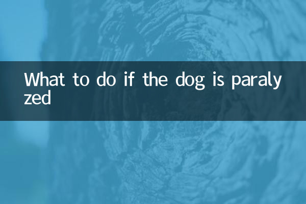 কুকুর পক্ষাঘাতগ্রস্ত হলে কি করবেন