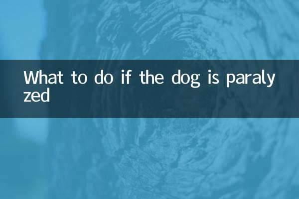 কুকুর পক্ষাঘাতগ্রস্ত হলে কি করবেন