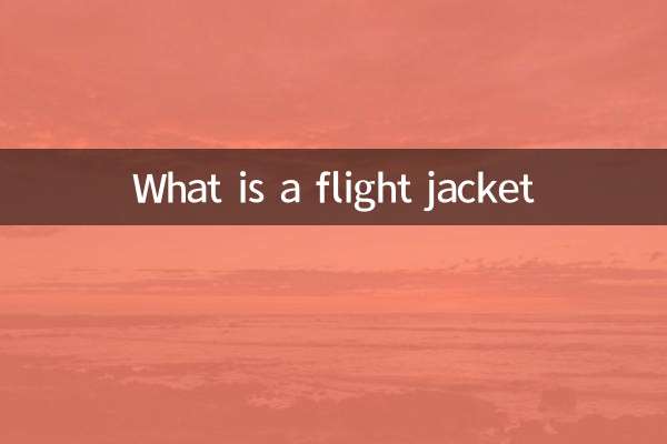 飞行外套是什么