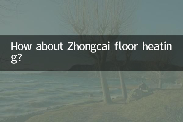 Zhongcai 바닥 난방은 어떻습니까?