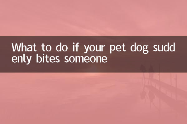 愛犬が突然人を噛んだ場合の対処法