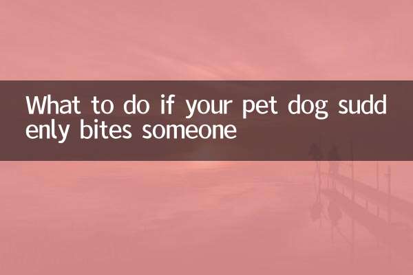 愛犬が突然人を噛んだ場合の対処法