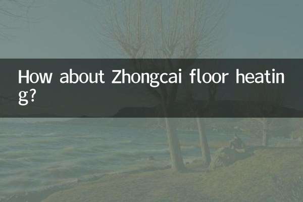 Che ne dici del riscaldamento a pavimento Zhongcai?
